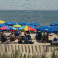 Rehoboth Real Estate is varied and offers not only a perfect seasonal retreat but also year round living. The public (free) beaches, tax free shopping and award winning restaurants provide for ones perfect get...